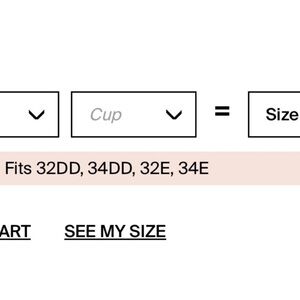 Knix Evolution V-Neck Unpadded Seamless Bra